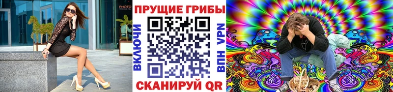 Псилоцибиновые грибы GOLDEN TEACHER  Талдом 